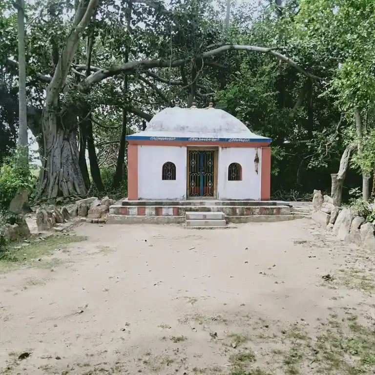 Arulmigu Iyyanar Temple, Nallammalchathiram, Iluppur Taluk - 622101 அருள்மிகு அய்யனார் திருக்கோயில், நல்லம்மான்சத்திரம், இலுப்பூர் வட்டம் - 622101, Pudukkottai - Ancient Temple Architecture and History Image 7