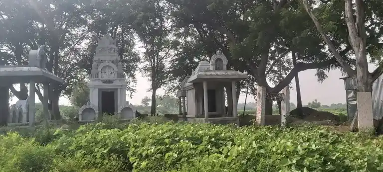 Arulmigu Iyyanar Temple, Nambipuram - 628720 அருள்மிகு ஐயனார் திருக்கோயில், Nambipuram - 628720, Thoothukudi - Ancient Temple Architecture and History Image 3