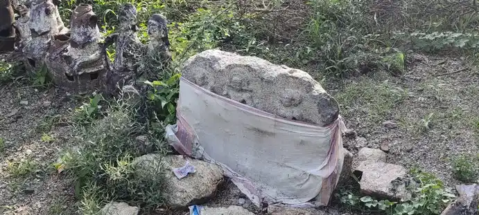 Arulmigu Iyyanar Temple, Navalakkampatti - 628720