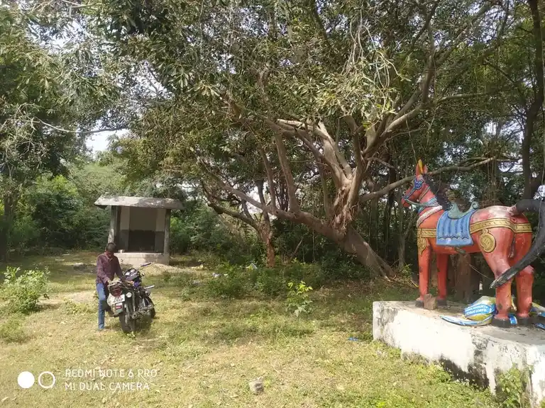 Arulmigu Iyyanar Temple, Nayinaarpalaiyam - 604301 அருள்மிகு அய்யனார் திருக்கோயில், Nayinaarpalaiyam - 604301, Kallakurichi - Ancient Temple Architecture and History Image 2