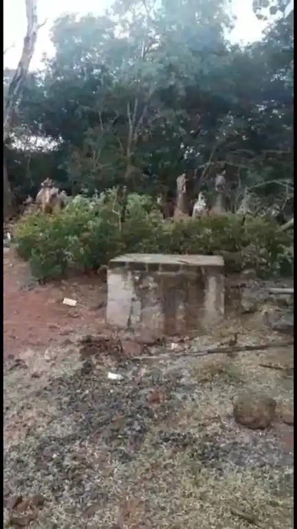 Arulmigu Iyyanar Temple, Nedungudi, Thirumayam Taluk - 622209 அருள்மிகு அய்யனார் திருக்கோயில், நெடுங்குடி, திருமயம் வட்டம் - 622209, Pudukkottai - Ancient Temple Architecture and History Image 3