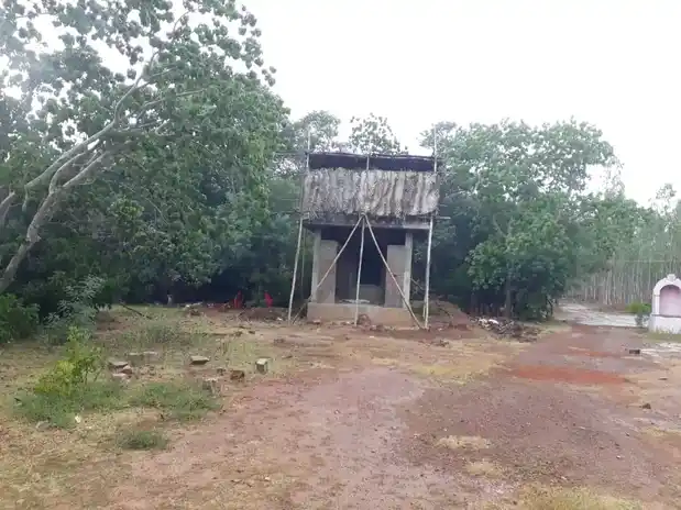 Arulmigu Iyyanar Temple, Nedungudi, Thirumayam Taluk - 622209 அருள்மிகு அய்யனார் திருக்கோயில், நெடுங்குடி, திருமயம் வட்டம் - 622209, Pudukkottai - Ancient Temple Architecture and History Image 4