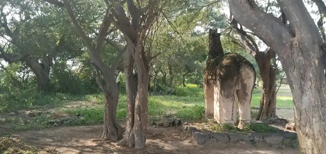 Arulmigu Iyyanar Temple, Ninnaiyur - 606305 Temple