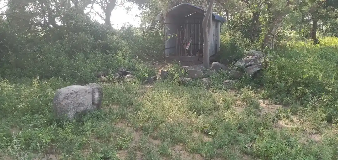 Arulmigu Iyyanar Temple, Ninnaiyur - 606305 Arulmigu Iyyanar Temple, Ninnaiyur - 606305, Kallakurichi - Ancient Temple Architecture and History Image 3