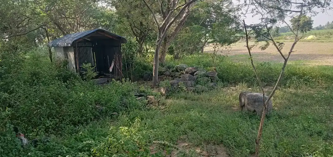 Arulmigu Iyyanar Temple, Ninnaiyur - 606305 Arulmigu Iyyanar Temple, Ninnaiyur - 606305, Kallakurichi - Ancient Temple Architecture and History Image 4