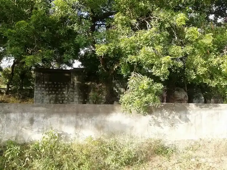 Arulmigu Iyyanar Temple, Paalaiyang Kunjaram - 607201 அருள்மிகு அய்யனார் திருக்கோயில், Paalaiyang Kunjaram - 607201, Kallakurichi - Ancient Temple Architecture and History Image 2