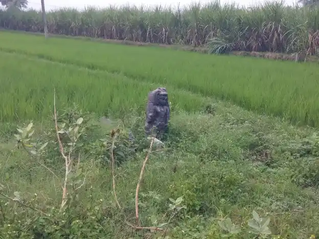 Arulmigu Iyyanar Temple, Paalrampattu - 606207