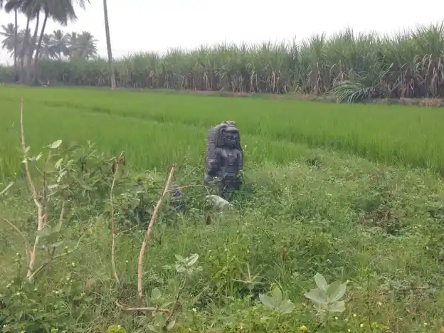 Arulmigu Iyyanar Temple, Paalrampattu - 606207 அருள்மிகு அய்யனார் திருக்கோயில், Paalrampattu - 606207, Kallakurichi - Ancient Temple Architecture and History Image 3