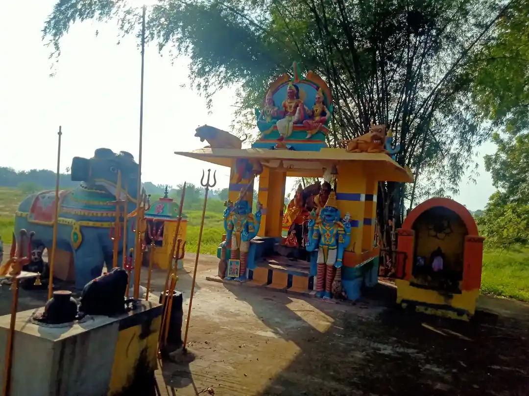Arulmigu Iyyanar Temple, Pallippattu - 606206 Temple