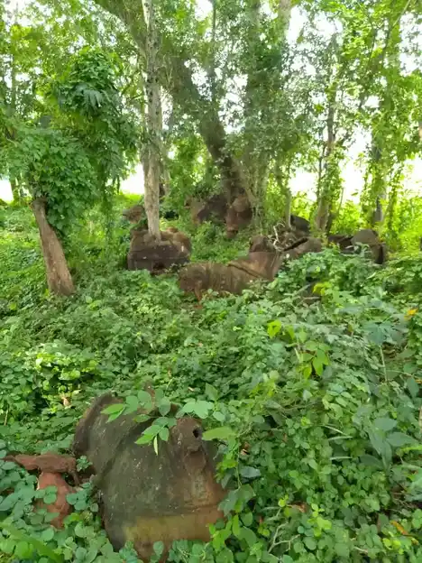 Arulmigu Iyyanar Temple, Pandanallur - 609807 அருள்மிகு அய்யனார் திருக்கோயில், Pandanalur - 609807, Thanjavur - Ancient Temple Architecture and History Image 4
