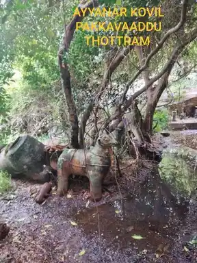 Arulmigu Iyyanar Temple, Parambur, Illupur Taluk - 622104 அருள்மிகு அய்யனார் திருக்கோயில், பரம்பூர், இலுப்பூர் வட்டம் - 622104, Pudukkottai - Ancient Temple Architecture and History Image 3