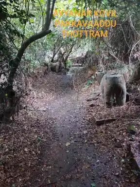 Arulmigu Iyyanar Temple, Parambur, Illupur Taluk - 622104 அருள்மிகு அய்யனார் திருக்கோயில், பரம்பூர், இலுப்பூர் வட்டம் - 622104, Pudukkottai - Ancient Temple Architecture and History Image 5