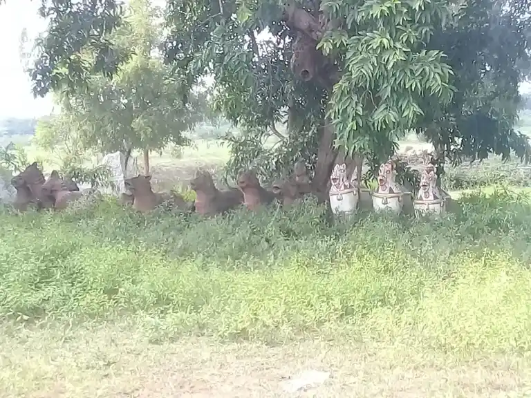Arulmigu Iyyanar Temple, Periyaanur - 607203 Temple