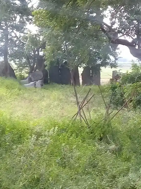 Arulmigu Iyyanar Temple, Periyaanur - 607203 அருள்மிகு அய்யனார் திருக்கோயில், Periyaanur - 607203, Kallakurichi - Ancient Temple Architecture and History Image 5