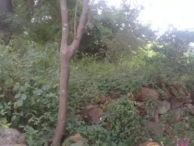 Arulmigu Iyyanar Temple, Periyakolliyur - 605801 அருள்மிகு அய்யனார் திருக்கோயில், Periyakolliyur - 605801, Kallakurichi - Ancient Temple Architecture and History Image 2