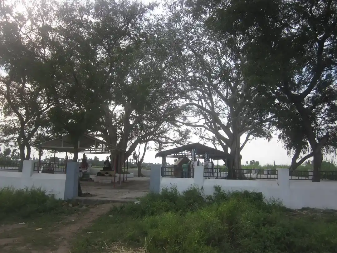 Arulmigu Iyyanar Temple, Perumangalam - 606204 அருள்மிகு அய்யனார் திருக்கோயில், Perumangalam - 606204, Kallakurichi - Ancient Temple Architecture and History Image 5