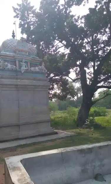 Arulmigu Iyyanar Temple, Perunthurai, Thirumayam Taluk - 622507 அருள்மிகு அய்யனார் திருக்கோயில், பெருந்துறை, திருமயம் வட்டம் - 622507, Pudukkottai - Ancient Temple Architecture and History Image 2