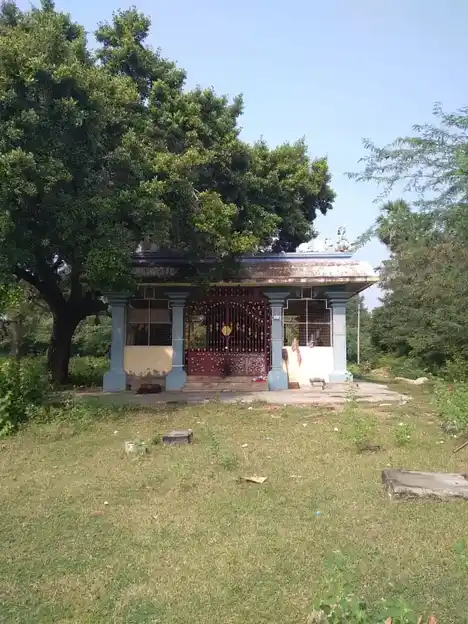 Arulmigu Iyyanar Temple, Perunthurai, Thirumayam Taluk - 622507 அருள்மிகு அய்யனார் திருக்கோயில், பெருந்துறை, திருமயம் வட்டம் - 622507, Pudukkottai - Ancient Temple Architecture and History Image 6