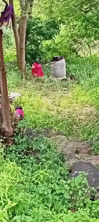 Arulmigu Iyyanar Temple, Peththaanoor - 606201 அருள்மிகு அய்யனார் திருக்கோயில், Peththaanoor - 606201, Kallakurichi - Ancient Temple Architecture and History Image 2