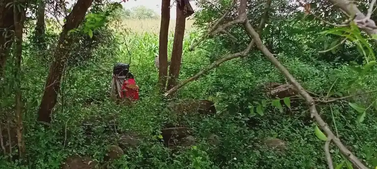 Arulmigu Iyyanar Temple, Peththaanoor - 606201 அருள்மிகு அய்யனார் திருக்கோயில், Peththaanoor - 606201, Kallakurichi - Ancient Temple Architecture and History Image 3