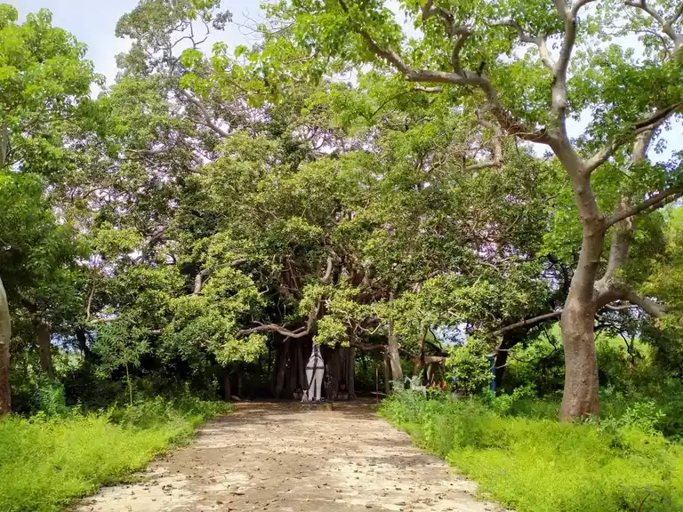 Arulmigu Iyyanar Temple, Pudhuppettai - 606402 அருள்மிகு அய்யனார், பிடாரி திருக்கோயில், Pudhuppettai - 606402, Kallakurichi - Ancient Temple Architecture and History Image 2