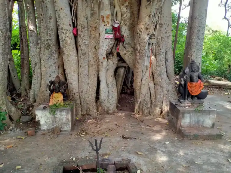 Arulmigu Iyyanar Temple, Pudhuppettai - 606402 அருள்மிகு அய்யனார், பிடாரி திருக்கோயில், Pudhuppettai - 606402, Kallakurichi - Ancient Temple Architecture and History Image 4