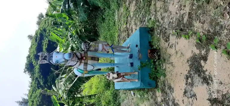 Arulmigu Iyyanar Temple, Radhanalloore, Radhanallur - 609202 Temple