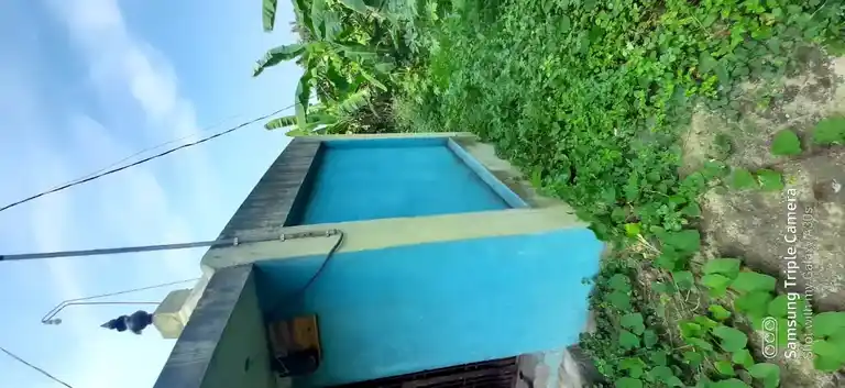 Arulmigu Iyyanar Temple, Radhanalloore, Radhanallur - 609202 , அருள்மிகு ஐயனார் கோவில், ராதாநல்லூர், ராதாநல்லூர் - 609202, Mayiladuthurai - Ancient Temple Architecture and History Image 2