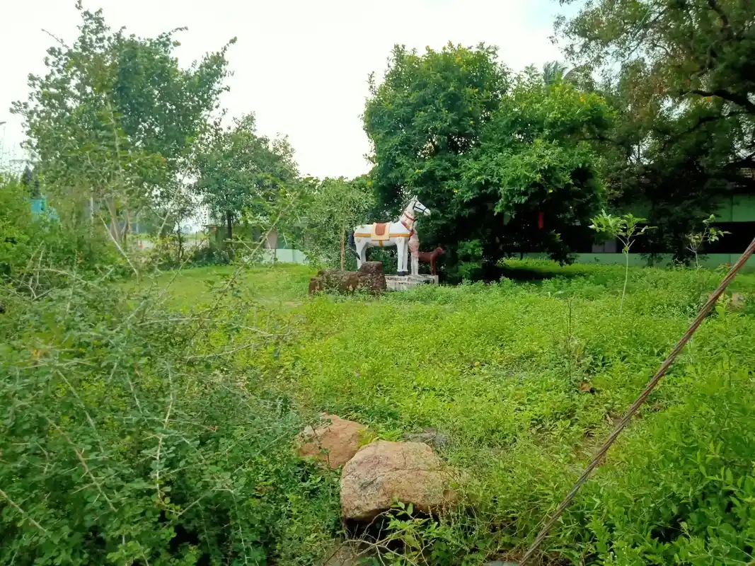 Arulmigu Iyyanar Temple, Sadaiyampattu - 606212