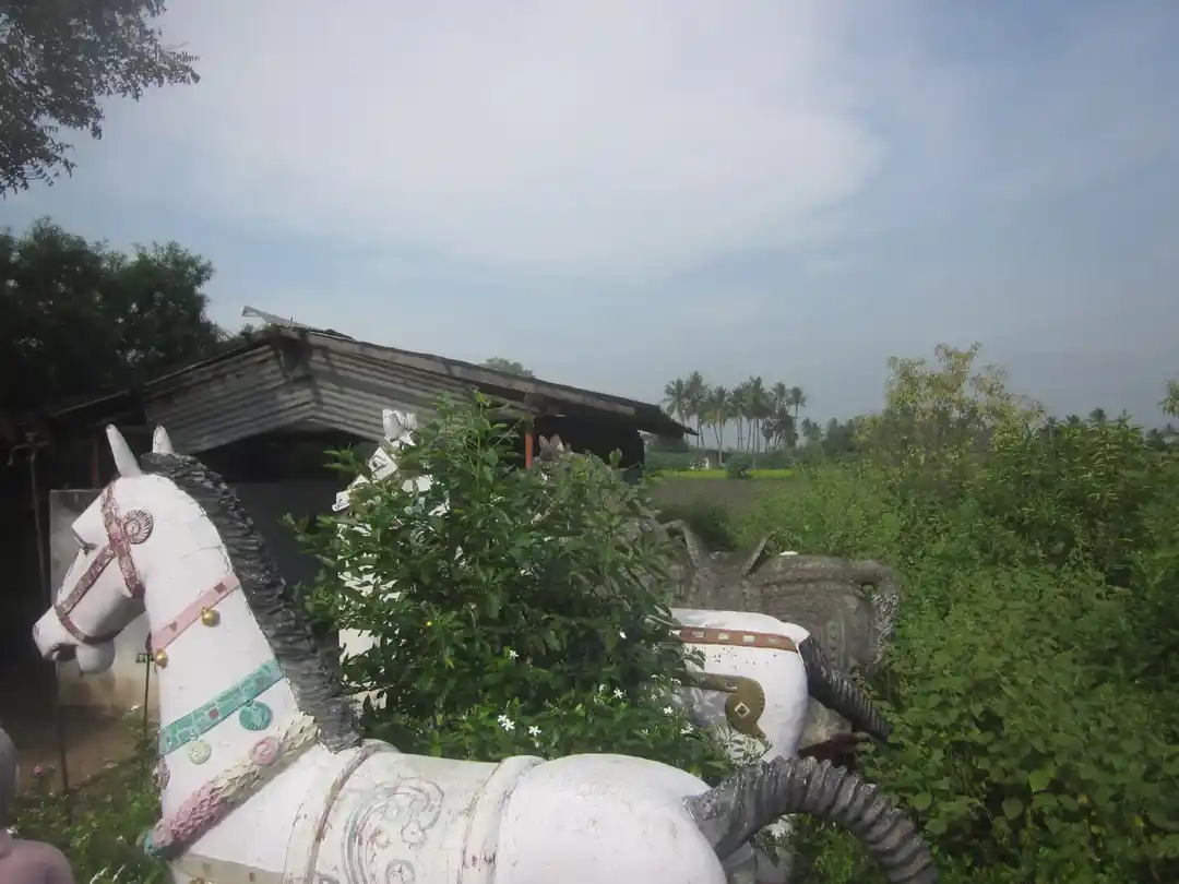 Arulmigu Iyyanar Temple, Siruvangoor - 606213 அருள்மிகு அய்யனார் திருக்கோயில், Siruvangoor - 606213, Kallakurichi - Ancient Temple Architecture and History Image 3