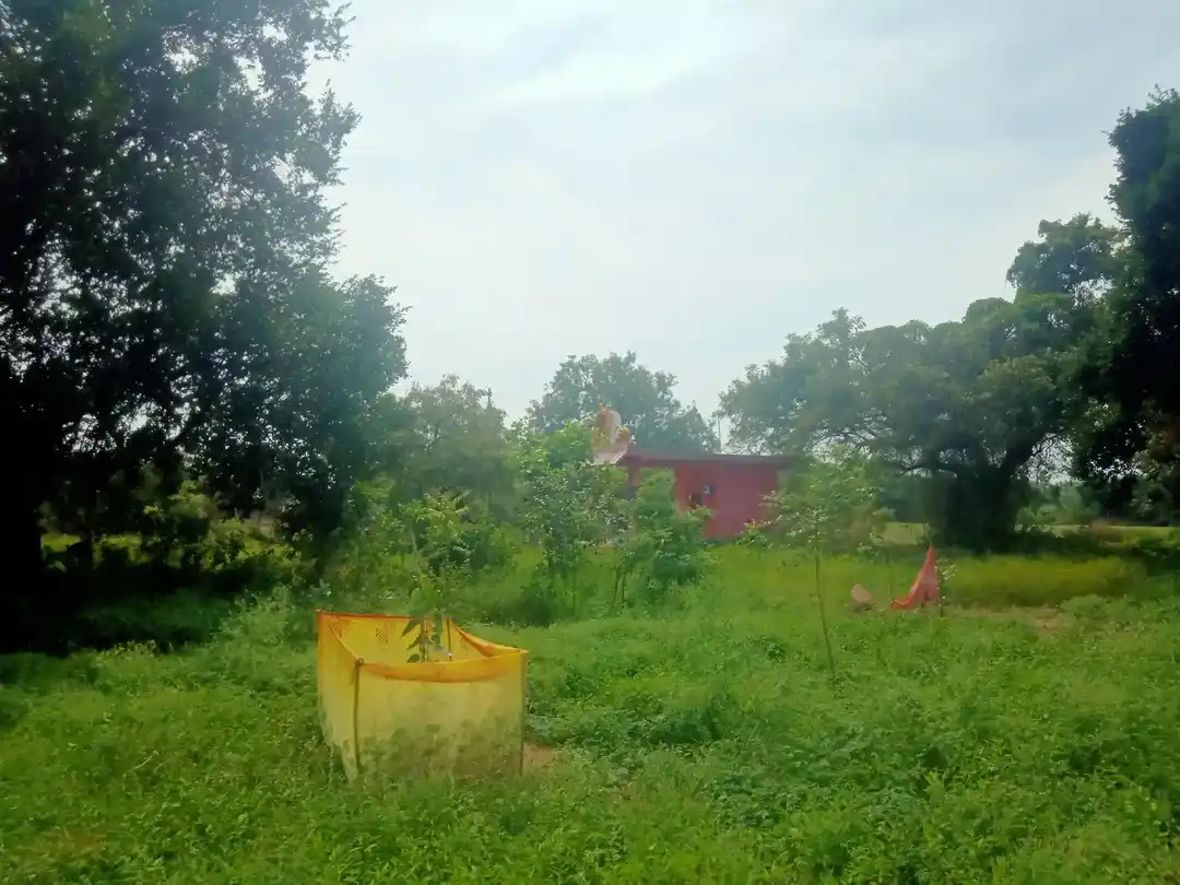 Arulmigu Iyyanar Temple, Sozhampattu - 606203