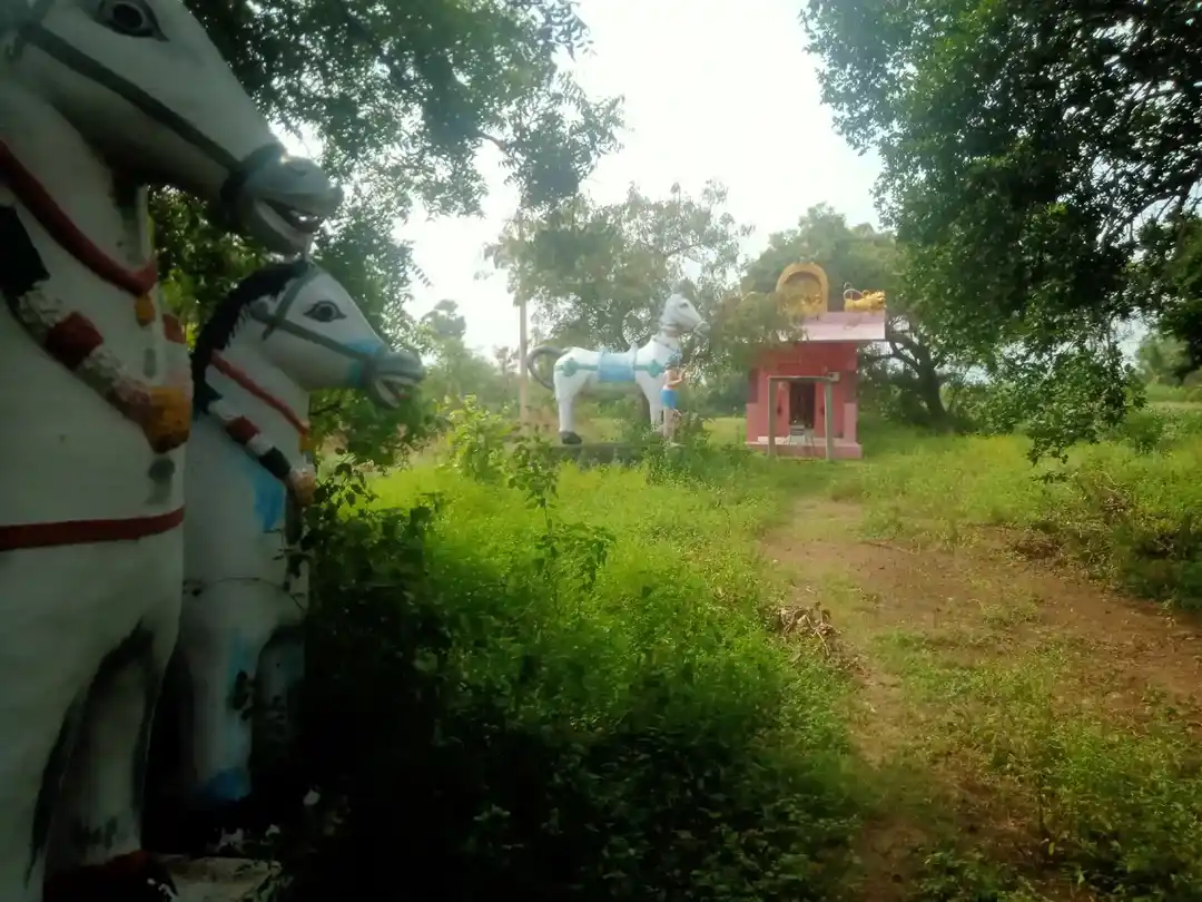 Arulmigu Iyyanar Temple, Sozhampattu - 606203 அருள்மிகு அய்யனார் திருக்கோயில், Sozhampattu - 606203, Kallakurichi - Ancient Temple Architecture and History Image 2