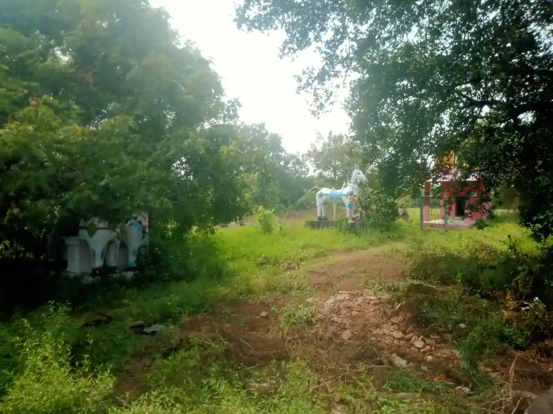 Arulmigu Iyyanar Temple, Sozhampattu - 606203 அருள்மிகு அய்யனார் திருக்கோயில், Sozhampattu - 606203, Kallakurichi - Ancient Temple Architecture and History Image 4