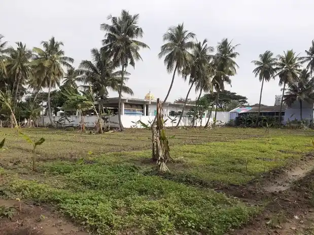Arulmigu Iyyanar Temple, Sulur - 641402