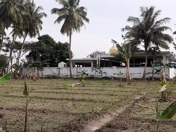 Arulmigu Iyyanar Temple, Sulur - 641402 அருள்மிகு அய்யனார் திருக்கோயில், Sulur - 641402, Coimbatore - Ancient Temple Architecture and History Image 2