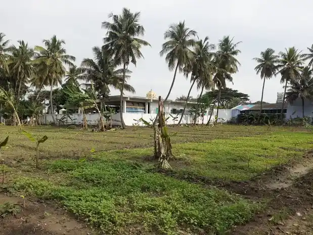 Arulmigu Iyyanar Temple, Sulur - 641402 அருள்மிகு அய்யனார் திருக்கோயில், Sulur - 641402, Coimbatore - Ancient Temple Architecture and History Image 5