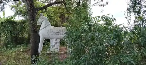 Arulmigu Iyyanar Temple, Sundravandi - 607105 அருள்மிகு அய்யனார் திருக்கோயில், Sundravandi - 607105, Cuddalore - Ancient Temple Architecture and History Image 4