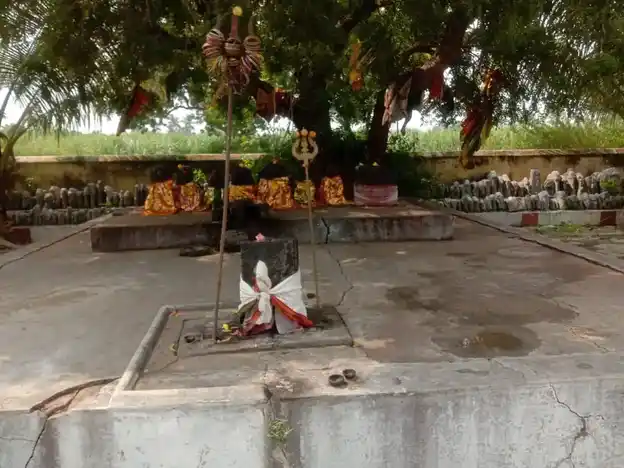 Arulmigu Iyyanar Temple, T.Pudupalaiyam - 605803 அருள்மிகு அய்யனார் திருக்கோயில், T.Pudupalaiyam - 605803, Viluppuram - Ancient Temple Architecture and History Image 7