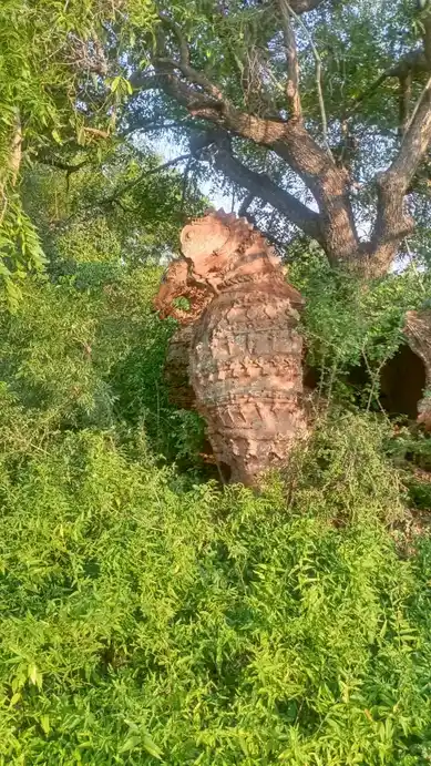 Arulmigu Iyyanar Temple, Thaandavasamuthiram, Thaandavasamuthiram - 604151 Arulmigu Iyyanar Temple, Thaandavasamuthiram, Thaandavasamuthiram - 604151, Viluppuram - Ancient Temple Architecture and History Image 3