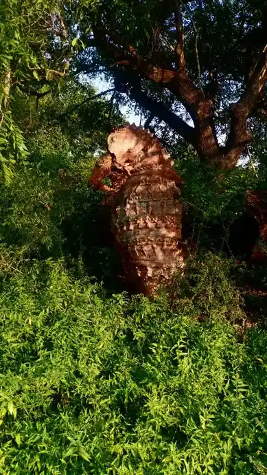 Arulmigu Iyyanar Temple, Thaandavasamuthiram, Thaandavasamuthiram - 604151 Arulmigu Iyyanar Temple, Thaandavasamuthiram, Thaandavasamuthiram - 604151, Viluppuram - Ancient Temple Architecture and History Image 6