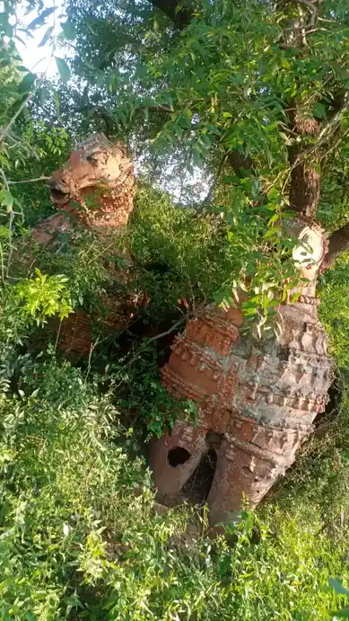 Arulmigu Iyyanar Temple, Thaandavasamuthiram, Thaandavasamuthiram - 604151 Arulmigu Iyyanar Temple, Thaandavasamuthiram, Thaandavasamuthiram - 604151, Viluppuram - Ancient Temple Architecture and History Image 9