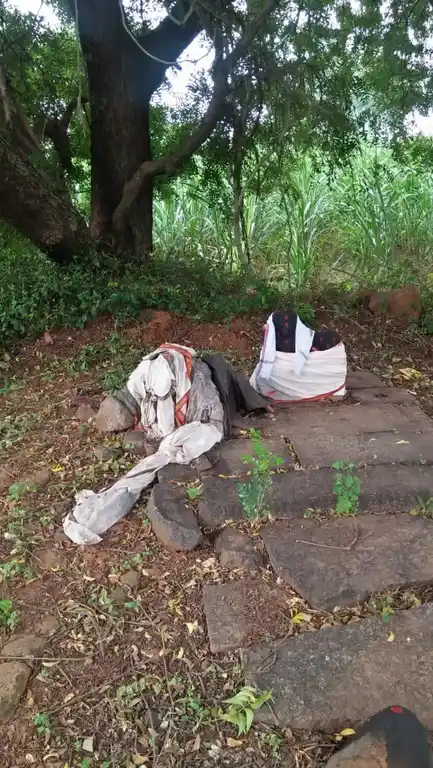 Arulmigu Iyyanar Temple, Thachchur - 606202 அருள்மிகு அய்யனார் திருக்கோயில், Thachchur - 606202, Kallakurichi - Ancient Temple Architecture and History Image 2