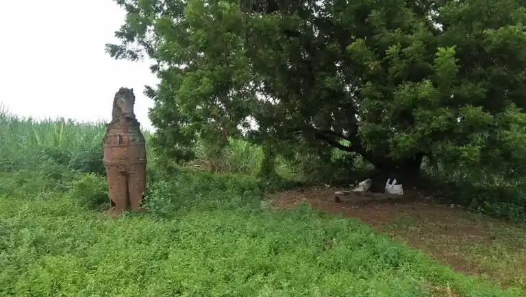 Arulmigu Iyyanar Temple, Thachchur - 606202 அருள்மிகு அய்யனார் திருக்கோயில், Thachchur - 606202, Kallakurichi - Ancient Temple Architecture and History Image 3