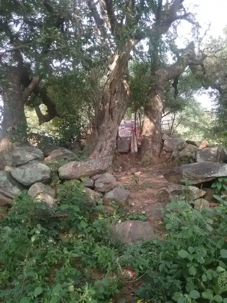 Arulmigu Iyyanar Temple, Thengiyaanaththam - 606201