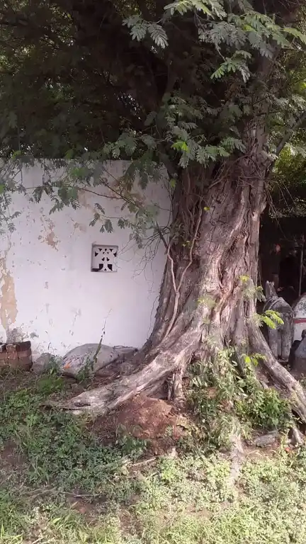 Arulmigu Iyyanar Temple, Vadadhorasalur - 606206 அருள்மிகு அய்யனார் திருக்கோயில், Vadadhorasalur - 606206, Kallakurichi - Ancient Temple Architecture and History Image 4