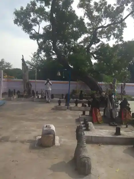 Arulmigu Iyyanar Temple, Vilambaar - 606213 அருள்மிகு அய்யனார் திருக்கோயில், Vilambaar - 606213, Kallakurichi - Ancient Temple Architecture and History Image 3