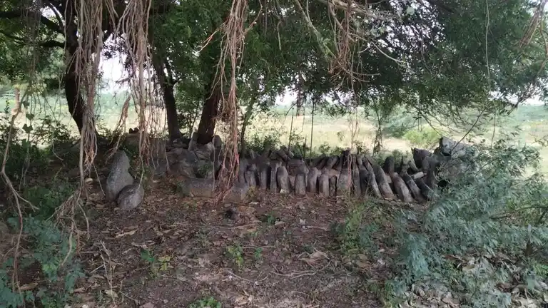 Arulmigu Iyyanar Vagaiyara Temple, Neivanai - 607201 அருள்மிகு அய்யனார் திருக்கோயில், Neivanai - 607201, Kallakurichi - Ancient Temple Architecture and History Image 5