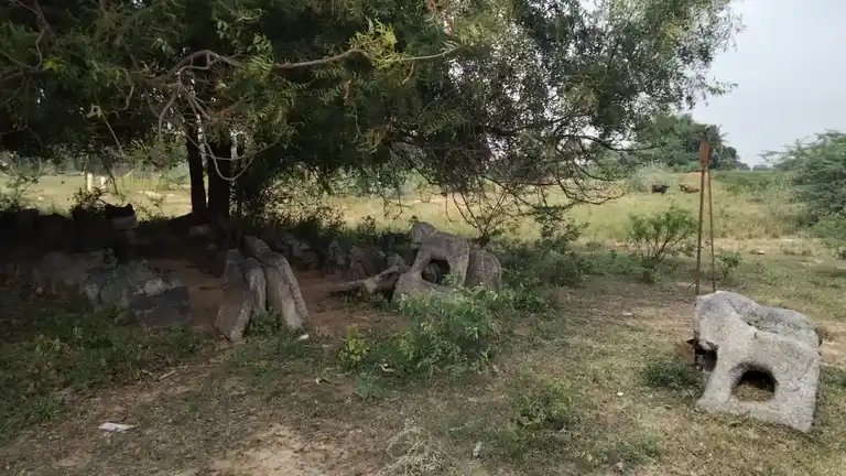 Arulmigu Iyyanar Vagaiyara Temple, Neivanai - 607201 அருள்மிகு அய்யனார் திருக்கோயில், Neivanai - 607201, Kallakurichi - Ancient Temple Architecture and History Image 6