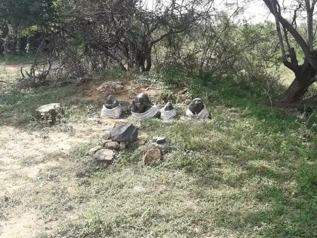 Arulmigu Iyyanar Vagaiyara Temple, V.Krishnapuram - 606301