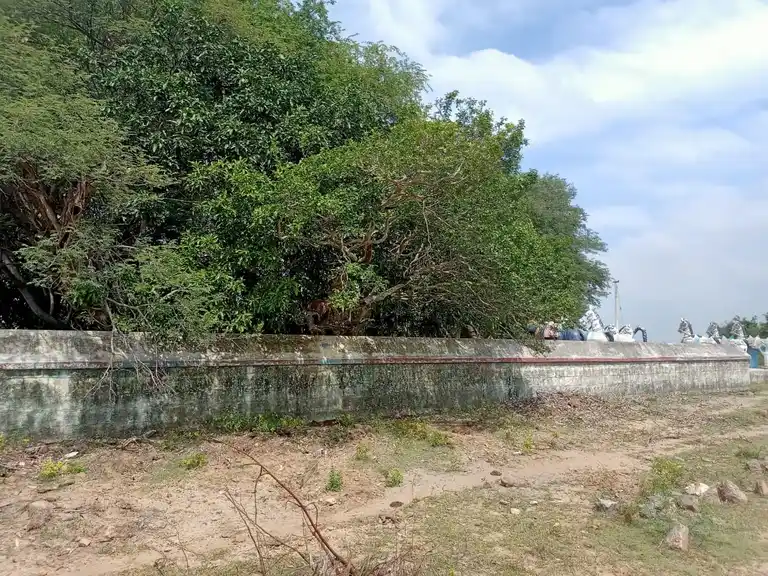 Arulmigu Iyyanar Vagaiyara Temple, Vaazhavandhan Kuppam - 607202 Temple